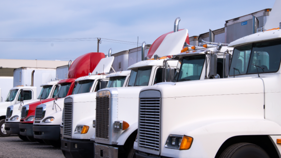 Auditing Freight Invoices