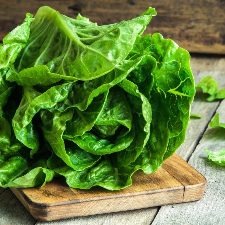 A track and trace of the lifecycle of a head of lettuce after a food recall.