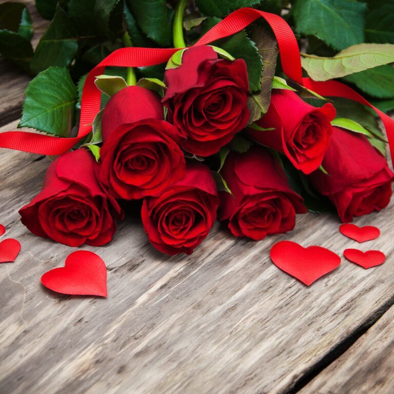 A bouquet of roses