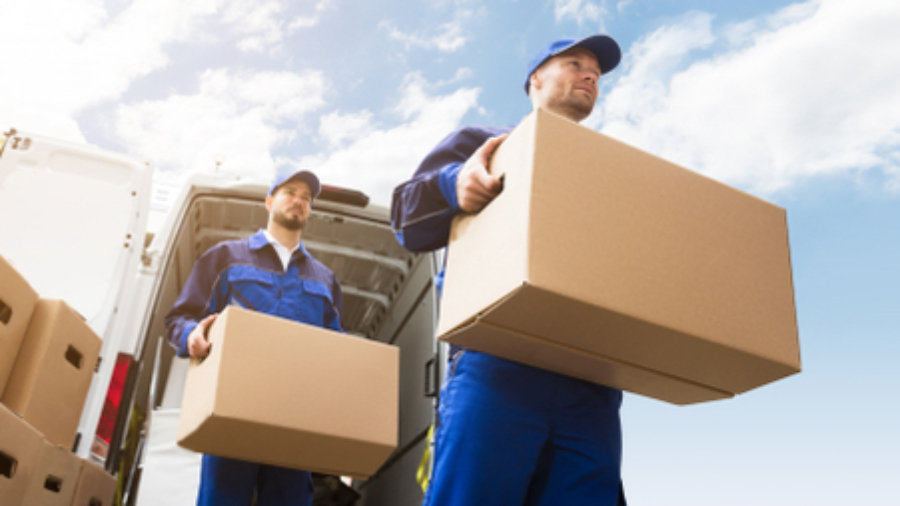 Maximizing Last Mile Success: The Power of Network Optimization