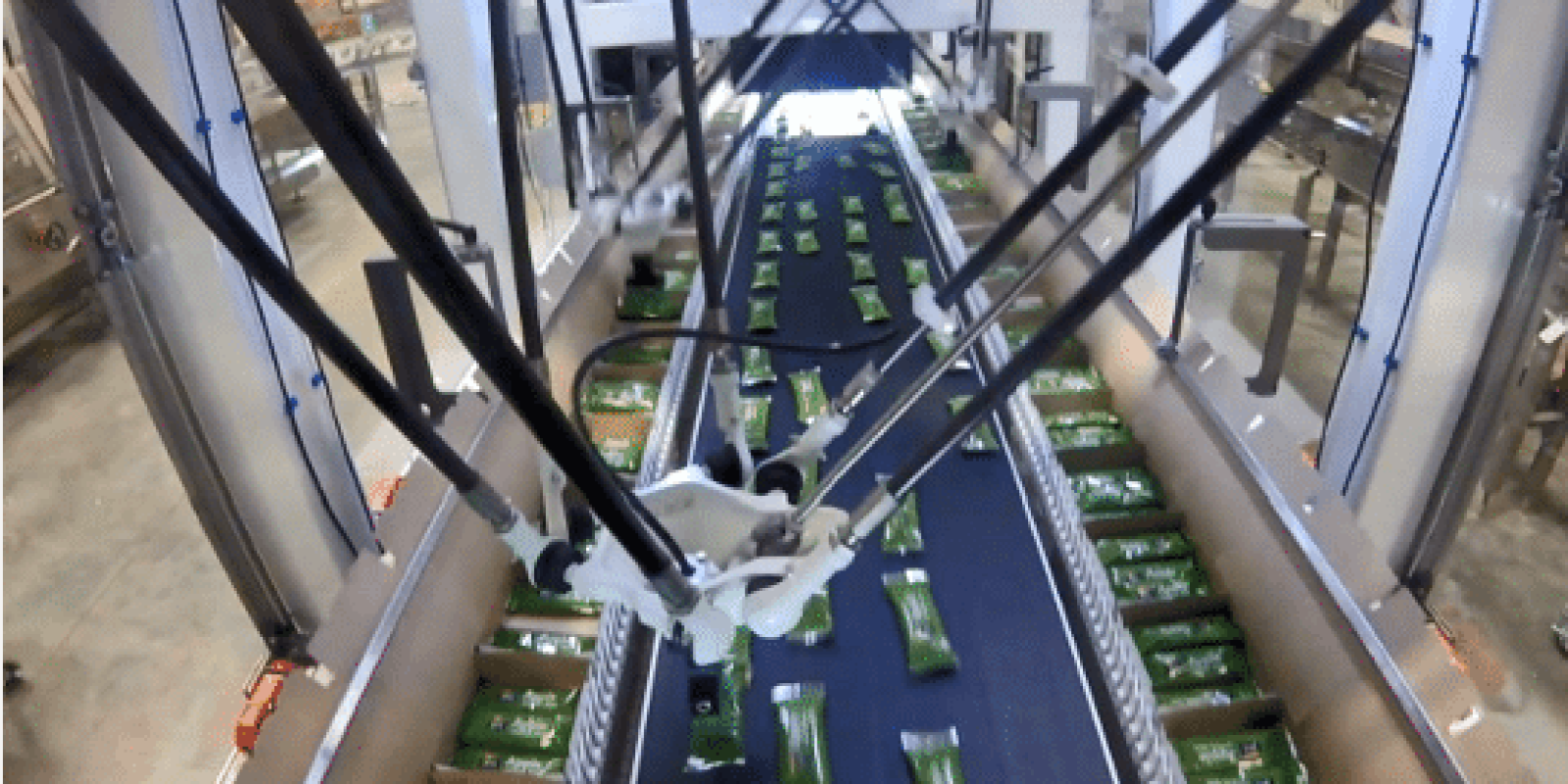 automation in a warehouse