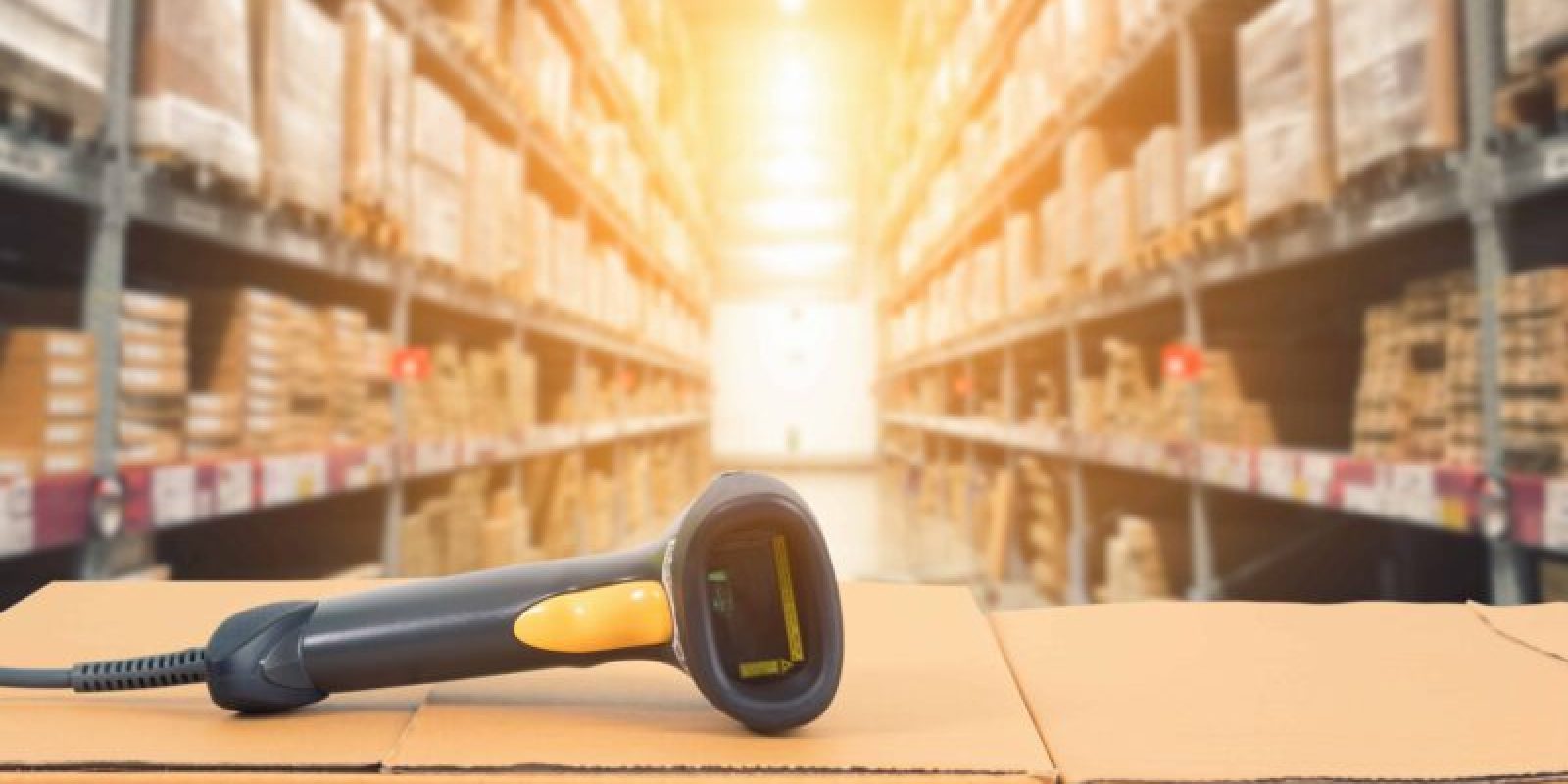 A scanner is used to determine economic order quantity