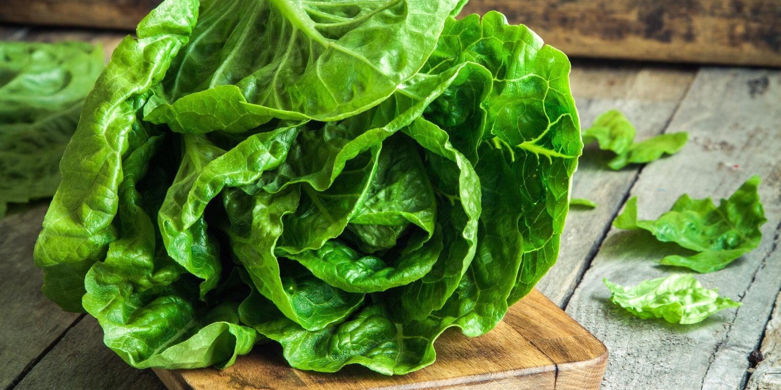 A track and trace of the lifecycle of a head of lettuce after a food recall.