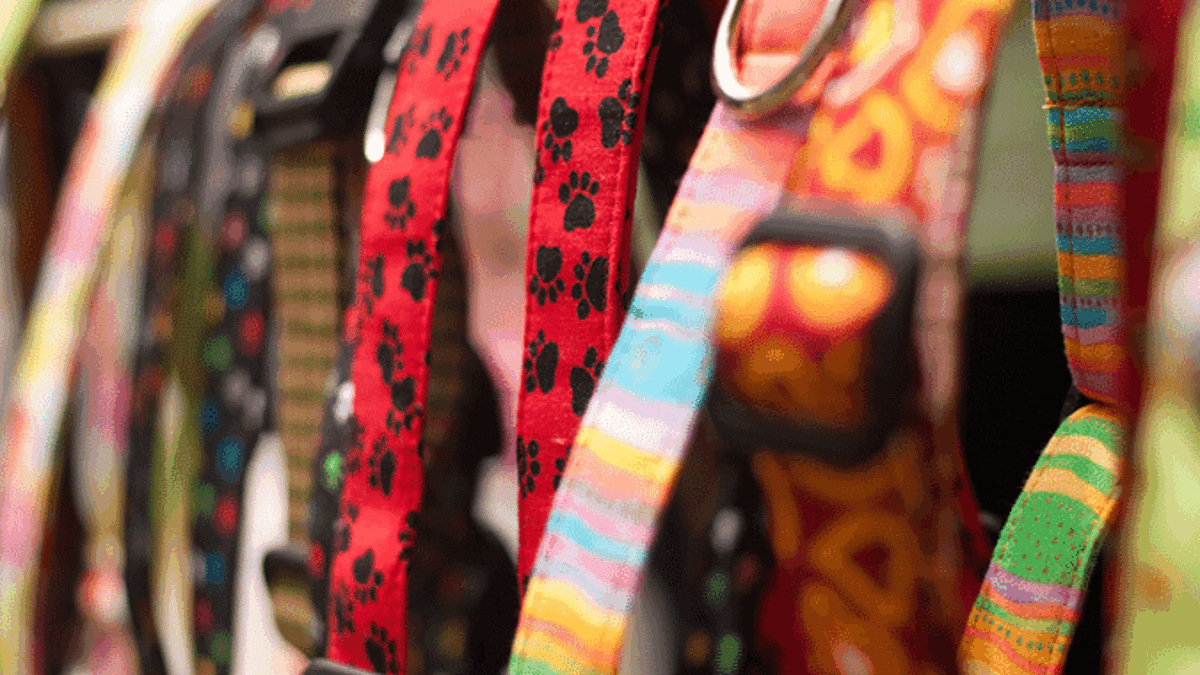 A close-up of several colorful dog collars hanging on a rack, with various patterns including red paws and multicolored stripes, slightly out of focus in the background.