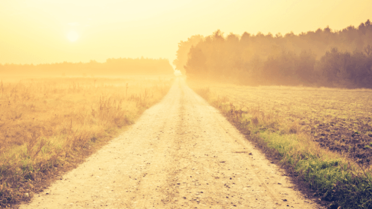 A dirt road stretches into the distance between fields, bathed in warm golden sunlight with a hazy sky and trees lining the horizon.