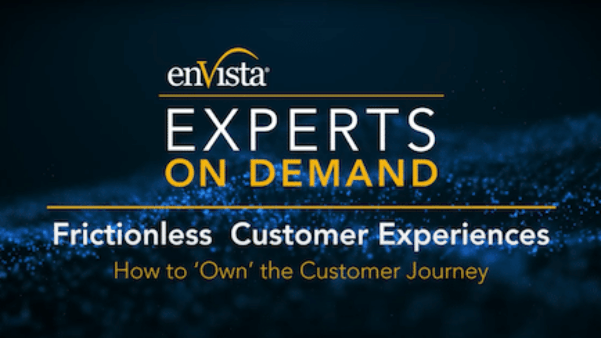 A promotional graphic for enVistas Experts On Demand featuring the text Frictionless Customer Experiences – How to Own the Customer Journey on a dark blue background with glowing light effects.