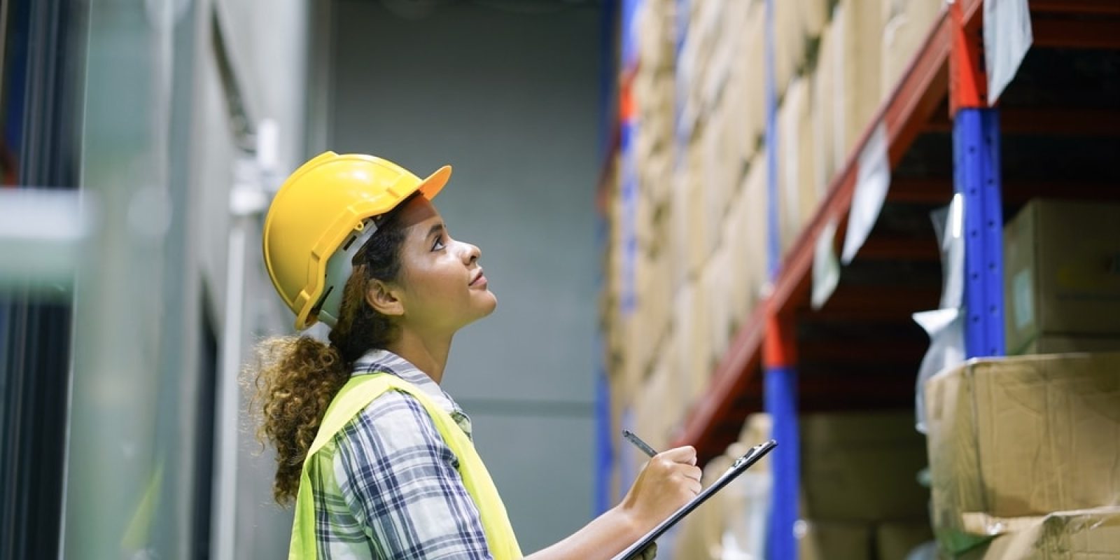 Worker,Inventory,Inspect,Staff,Checking,Stock,And,Inspect,Package,Box